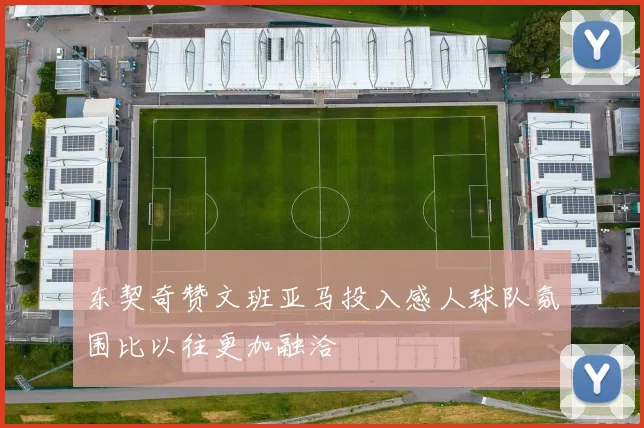 东契奇赞文班亚马投入感人球队氛围比以往更加融洽