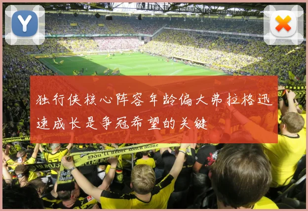 独行侠核心阵容年龄偏大弗拉格迅速成长是争冠希望的关键