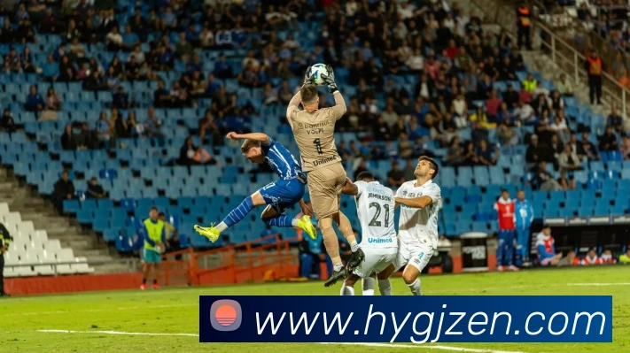 多媒体互动体验